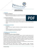 829421307.trabajo Práctico #2 Año 2013