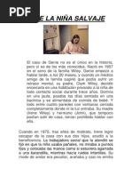 Gine La Niña Salvaje