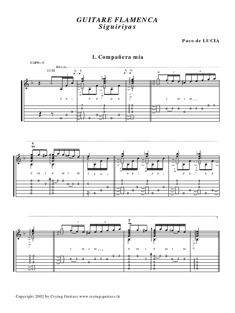 Flamenco Guitar Guitares Instrument de la famille guitare