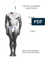 4742612 Circuitos Para Imanes Con Colores