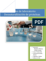Informe Laboratorio Quimica