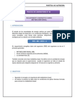 Metabolismo Basal