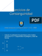 Ejercicios de Consanguinidad 2011 PDF