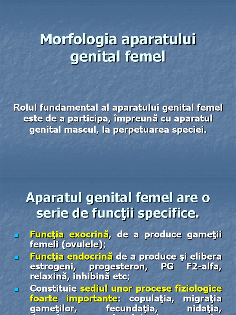 Morfologia Aparatului Genital Femel | PDF
