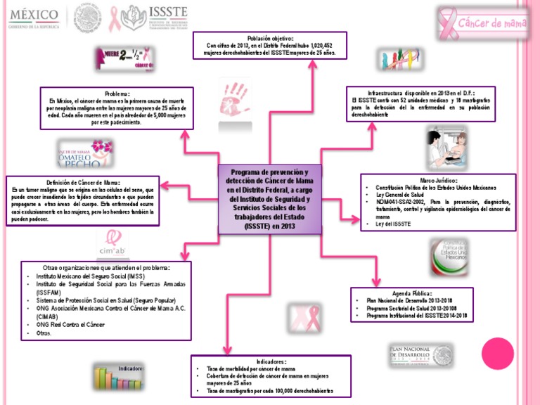 Mapa Conceptual de La Evaluación de La PP de Cáncer de