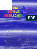 Incalzirea globala