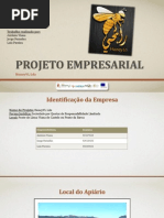Projeto Empresarial
