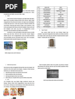 Download hasil kebudayaan masa hindu budha by sherahan SN248593985 doc pdf