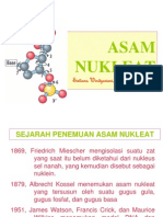 Asam Nukleat