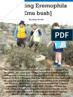 Collecting Eremophila (Emu Bush) : by Zane Booth