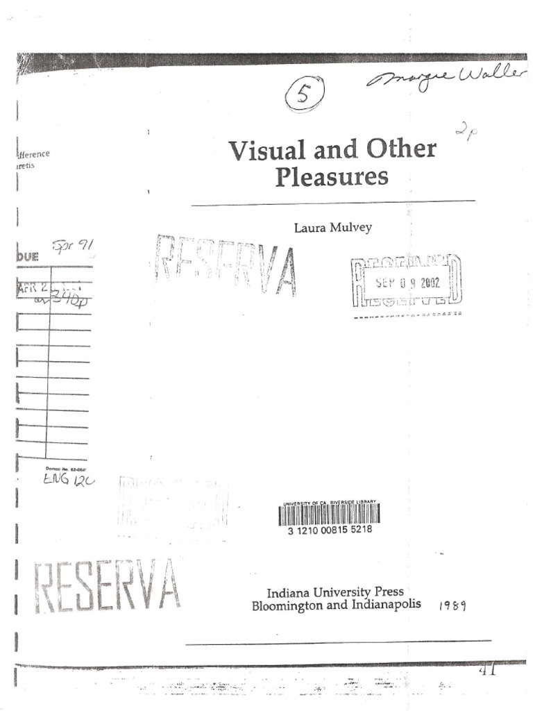 Mulvey essay picture