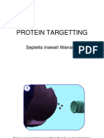 Protein Targetting: Septelia Inawati Wanandi