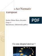 Decizia Act Normativ European