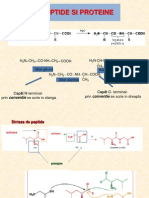 C9 - Peptide Si Proteine
