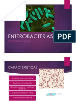 ENTEROBACTERIAS [Autoguardado]