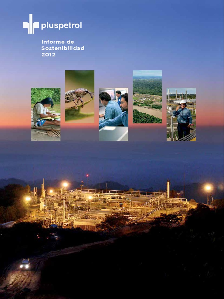 Informe PlusPetrol 2012 | PDF | Sustentabilidad | Toma de decisiones