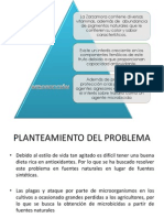 Proyecto de Zarzamora