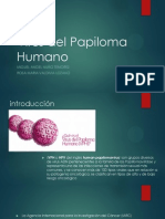 Virus Del Papiloma Humano CITO