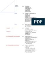 Lista 206 Huesos