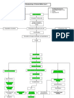 Pathophysiology of Diabetes Mellitus Type 2 Ver 1