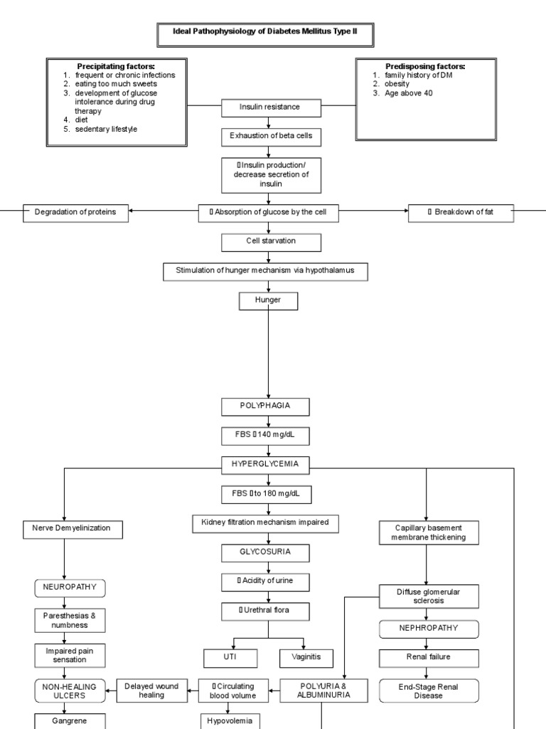 Pathophysiology of Diabetes Mellitus Type 2 | PDF