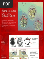 Embriologia Del Tubo Digestorio3