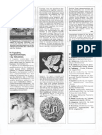 2. Η γοργόνα, προσωποποίηση της θάλασσας PDF