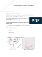 Proteinograma e Inmunoelectroforesis