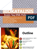 Enzim Taq DNA Polimerase