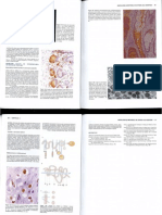 18-55 atlas histologie 