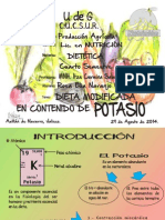 expo potasio.pdf