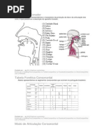 O Aparelho Fonador.docx