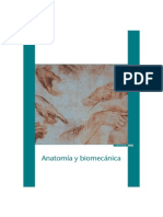 Anatomia y Biomecanica