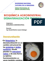 15 Desnaturalización