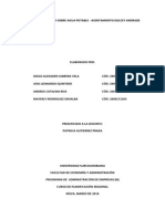 Informe Preliminar Sobre Agua Potable