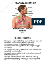 Diafragma Rupture