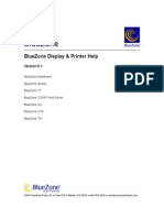 BlueZone Display & Printer Help