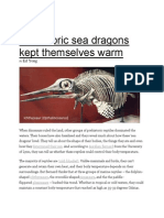 Phenomena Prehistoric Sea Dragons Kept Themselves Warm