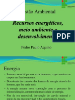 Recursos Energéticos, Meio Ambiente e Desenvolvimento