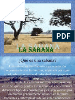 La Sabana 