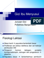 Gizi Ibu Menyusui