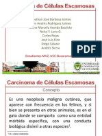 carcinomadeclulasescamosas-100421023821-phpapp01