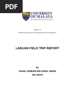 Download Labuan Field Report Sedimentology by a21mburst SN248768852 doc pdf