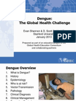 117 Dengue the Global Health Challenge FINAL
