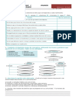 14356217 Examen de Ciencias Segundo Bloque