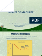 Indices Madurez Enero 2001