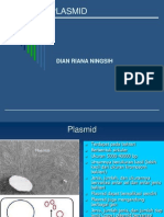 Isolasi Plasmid