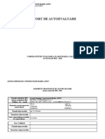 Raport de Autoevaluare Si Plan de Imbunatatire2013 PDF