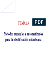 Tema 13 PDF