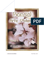 Bonsai, Arte Viviente IV